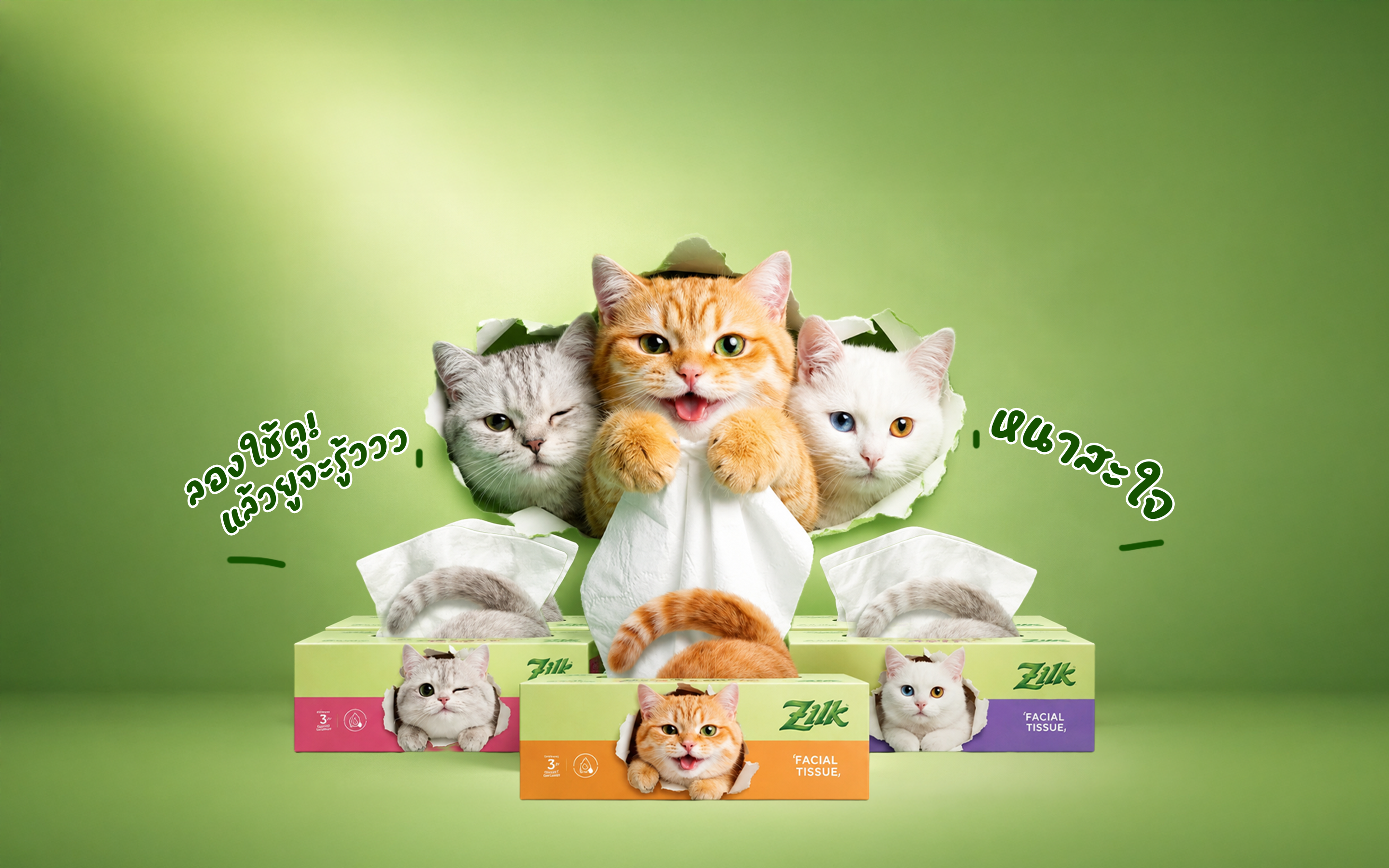 กระดาษเช็ดหน้า Zilk FUNBOX